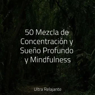 50 Mezcla de Concentración y Sueño Profundo y Mindfulness by Piano Suave Relajante