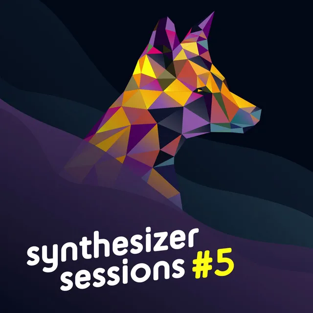 ילדה ירושלמית (22) - Synthesizer Sessions