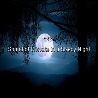 Sound of Crickets in a Sleepy Night by Sonido Ambiente