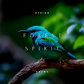 Forest Spirit: Relaxing Kalimba Melodies for Spa Moments by Spring Aroma