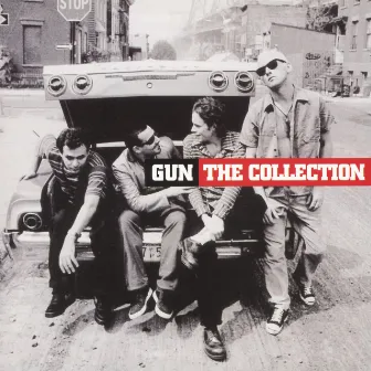 The Collection by Gun