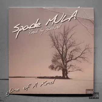 One of a Kind by Spade Mula