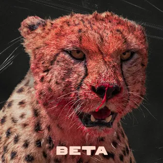 Beta by Ominira