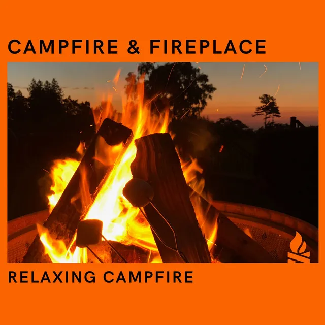 Campfire & Fireplace