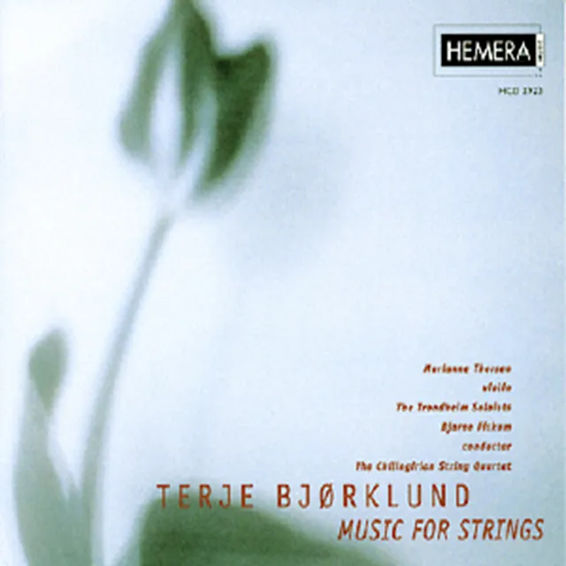 Terje Bjørklund: Music for Strings