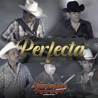 Perfecta by Los Incontenibles de Jorge y Luis