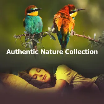 Authentic Nature Collection by Epic Nature Sounds