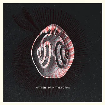 Primitive Forms by Matter