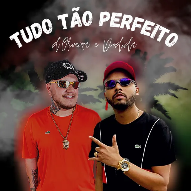 Tudo Tão Perfeito