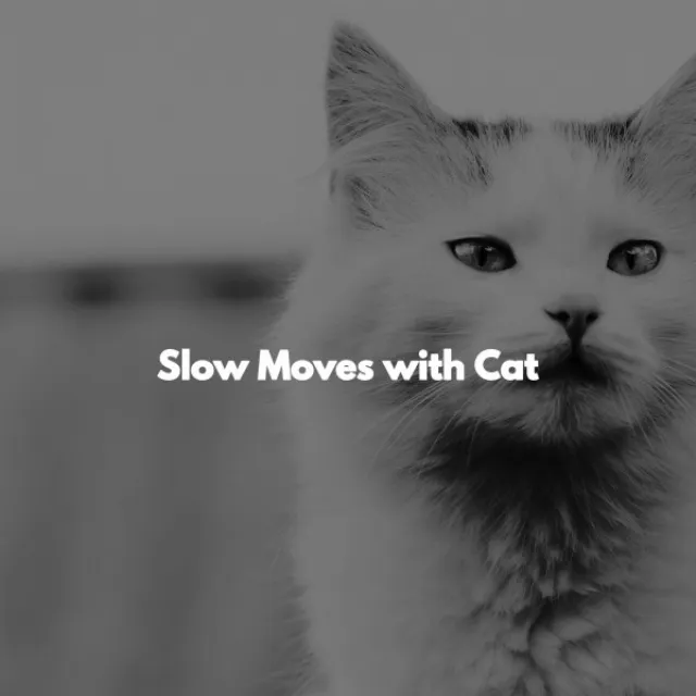 Slow Moves with Cat