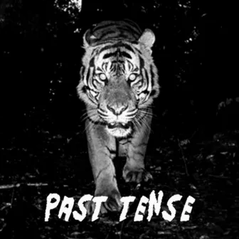 Past Tense by LMTLESS