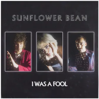 I Was A Fool by Sunflower Bean