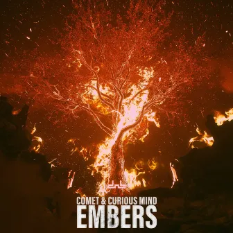 Embers by Curious Mind