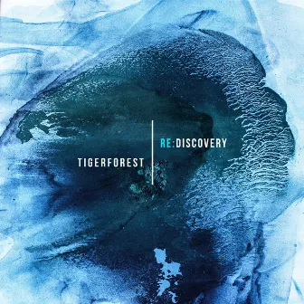 Re: Discovery by Tigerforest