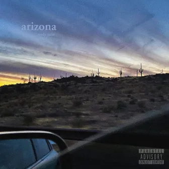 Arizona by Cody June