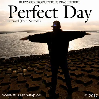 Perfect Day by Blizzard