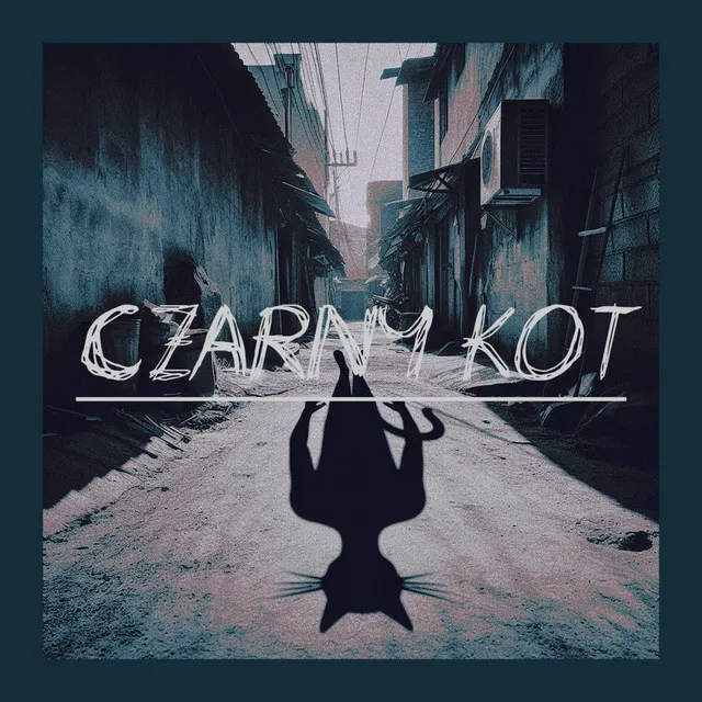 Czarny Kot