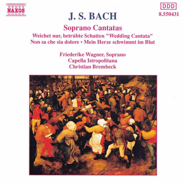 Weichet nur, betrubte Schatten, BWV 202, "Wedding Cantata": Aria: Weichet nur, betrubte Schatten