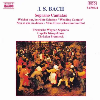 Bach, J.S.: Soprano Cantatas, Bwv 199, 202 and 209 by Friederike Wagner