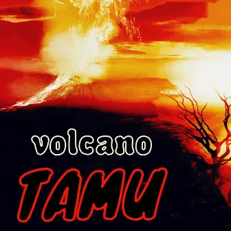 Volcano by TAMU