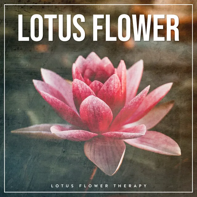 Lotus Flower