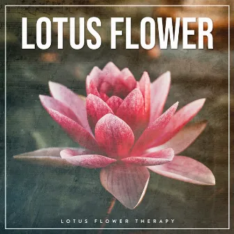 Lotus Flower by Lotus Flower Therapy