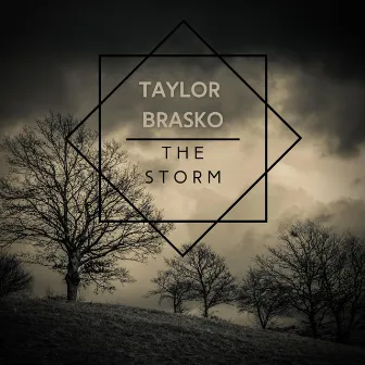 The Storm by Taylor Brasko