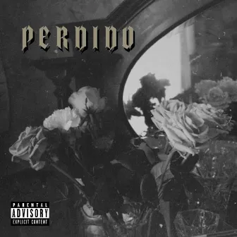 Perdido by Levi