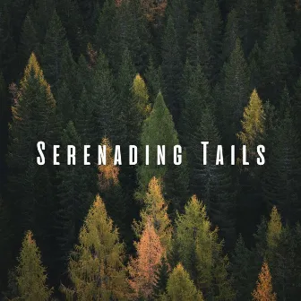 Serenading Tails: Binaural Beats and Nature's Pet Symphony by Music of Nature