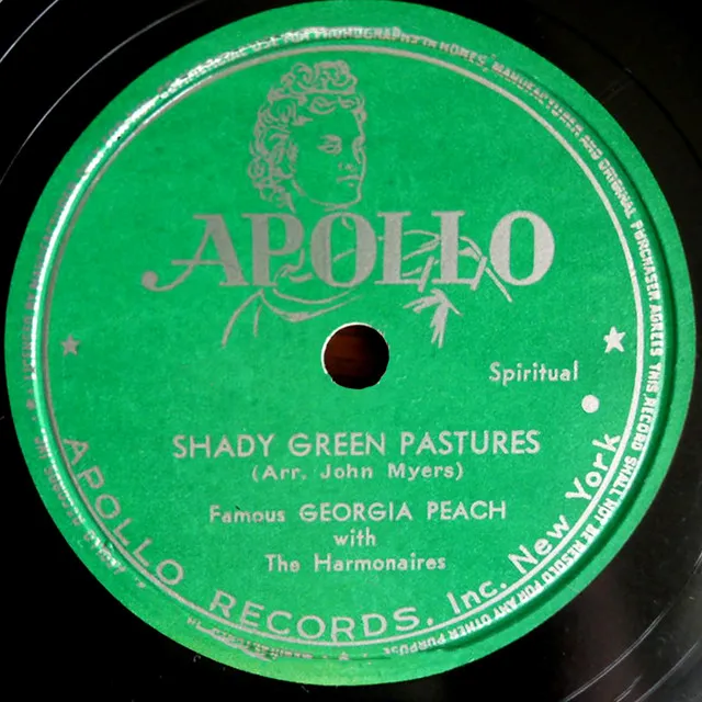 Shady Green Pastures