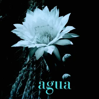 Agua by Nahuel Amaru