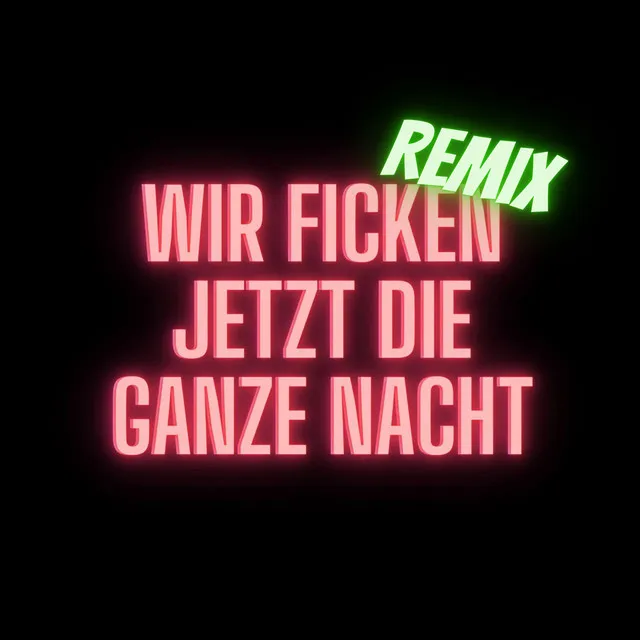 WIR FICKEN JETZT DIE GANZE NACHT (Remix)