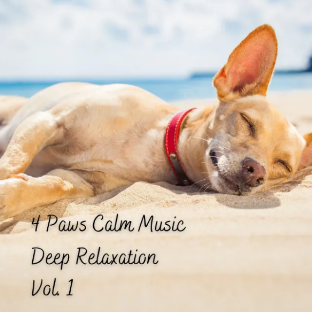 Calm and Comforting Pet Music