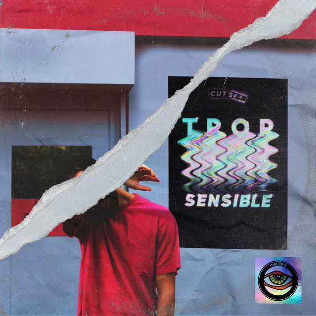 Trop sensible - Remix