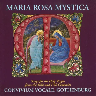 Maria Rosa Mystica by Unknown Artist