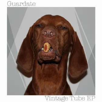 Vintage Tube EP by Guardate