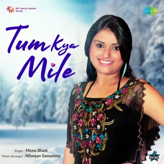 Tum Kya Mile by Mona Bhatt