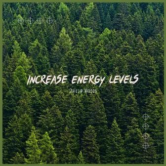 Increase Energy Levels by Everlight