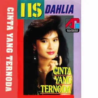 Cinta Yang Ternoda by Iis Dahlia