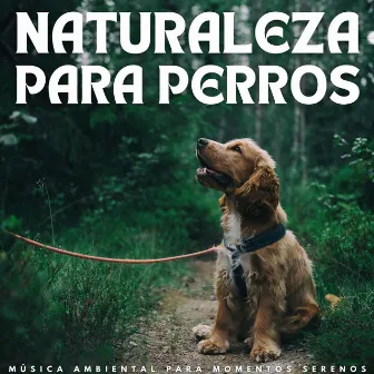 Naturaleza Para Perros: Música Ambiental Para Momentos Serenos by Relax mi perro música