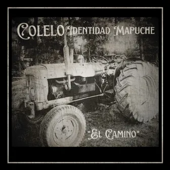 El Camino by Colelo Identidad Mapuche