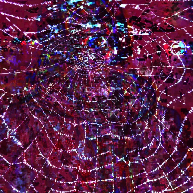 Spider Web