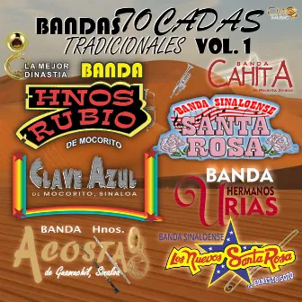 Bandas Tocadas Tradicionales Vol. 1 by Banda Hermanos Acosta