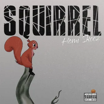 Squirrel by Homi Skeez