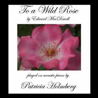 To a Wild Rose by Patricia Holmberg