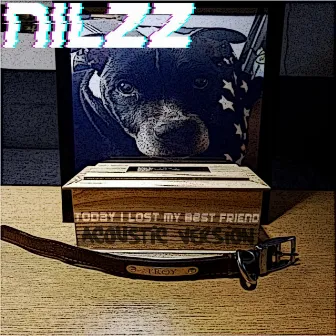 Today I Lost My Best Friend (Acoustic Version) by Nilzz