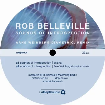 Sounds Of Introspection by Rob Belleville