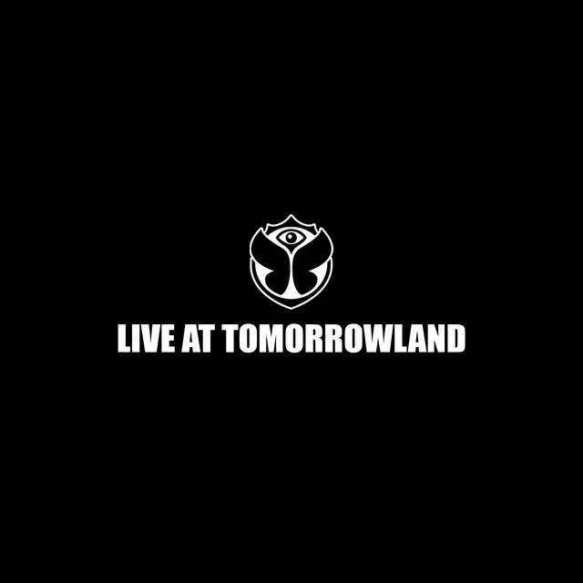 The Age Of Love (Dimitri Vegas Remix - Live at Tomorrowland)