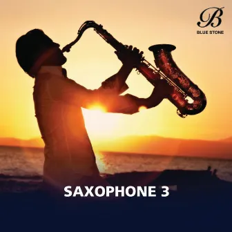 Saxophone, Vol. 3 (Live) by Vinayak