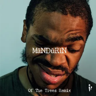 MăNDŭRĭN (Of The Trees Remix) by KAMAUU